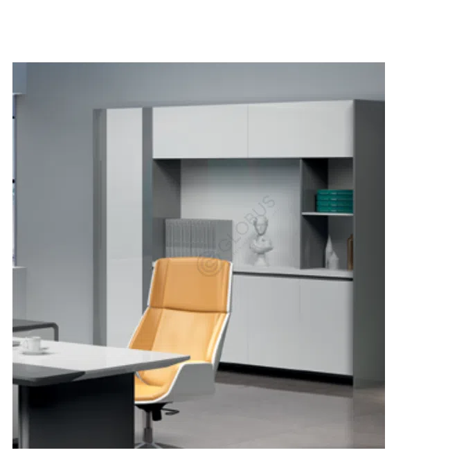 Архивный шкаф для офиса Quiza