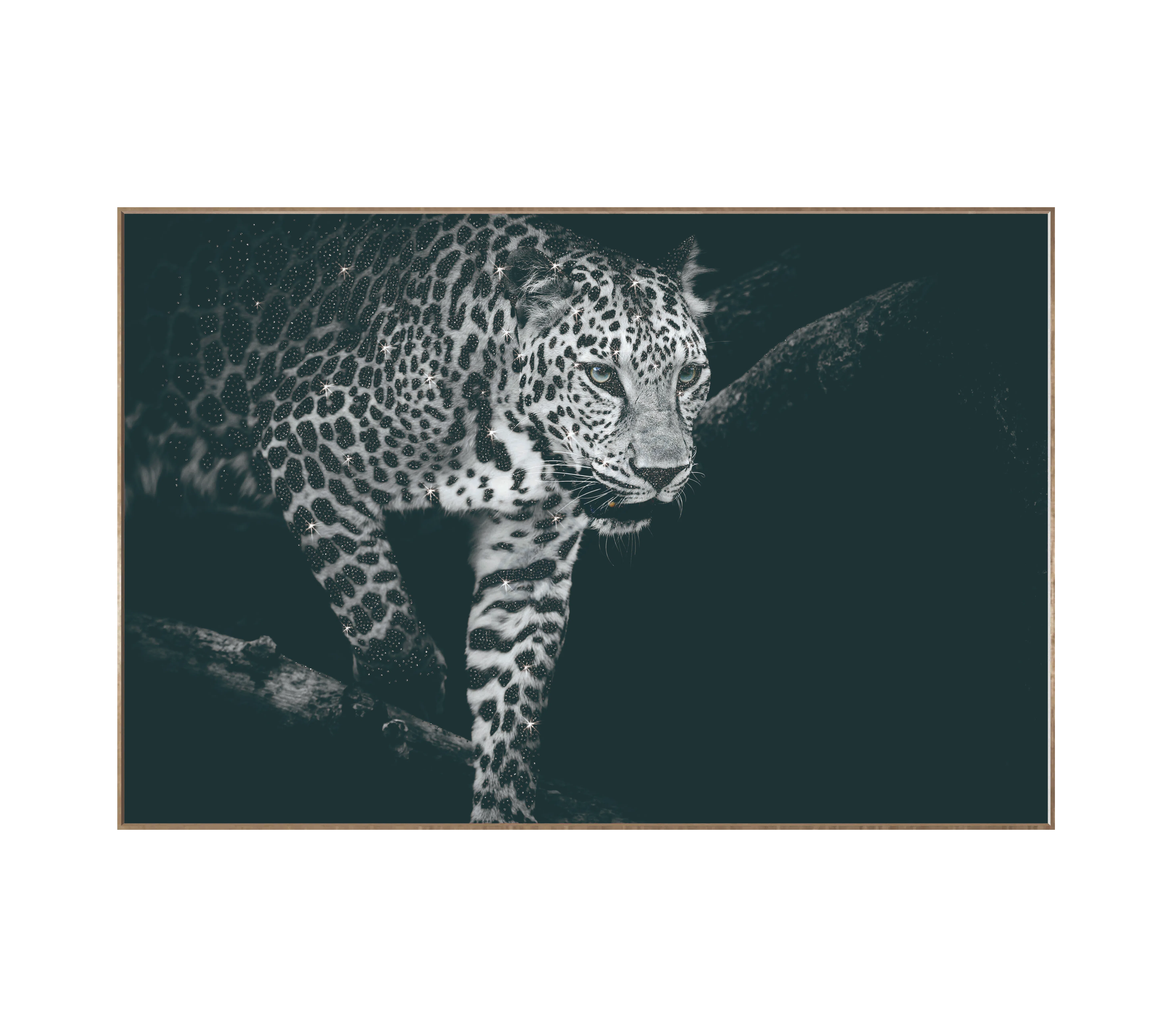 Картина Esera