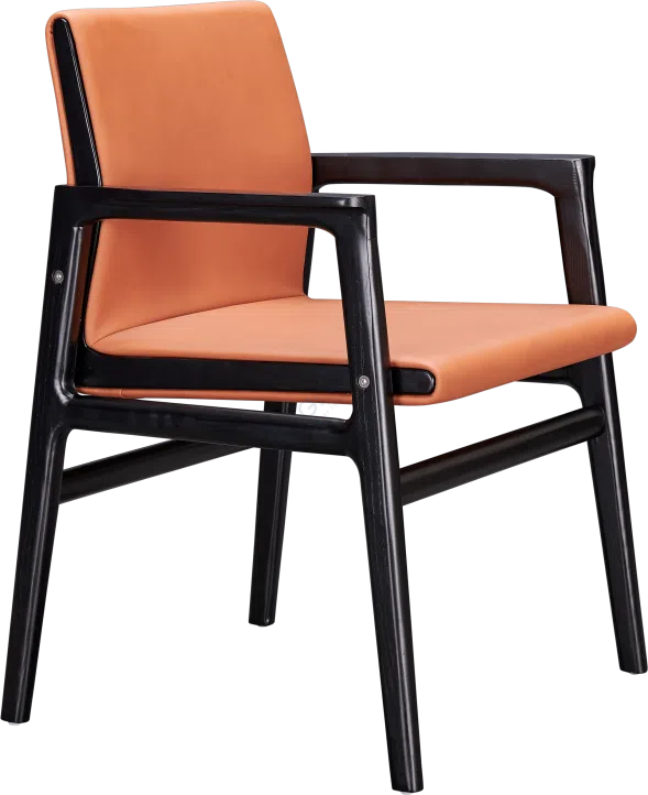 Обеденный стул POLIFORM Ipanema