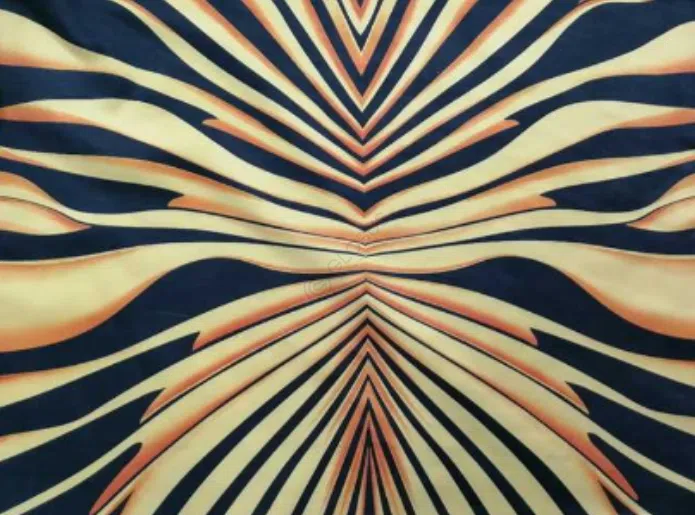 Кресло ROBERTO CAVALLI Tifnit