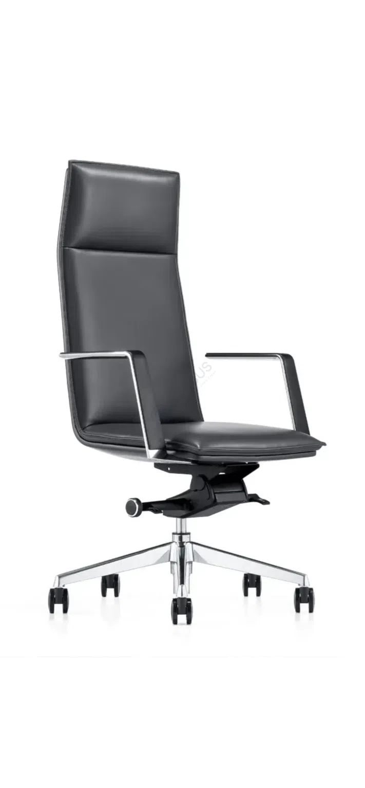 Стул для офиса Ortunio