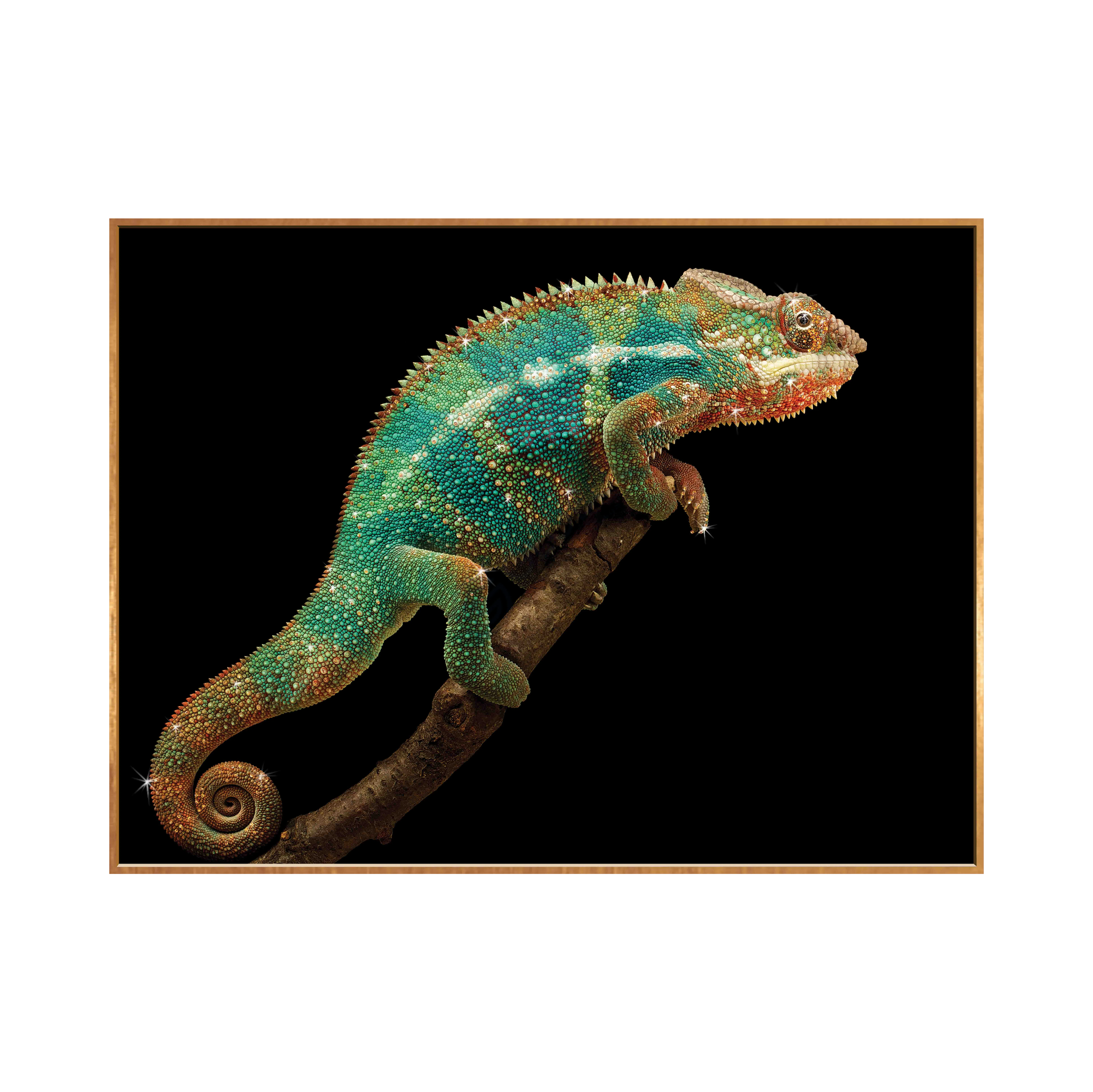 Картина Renoir