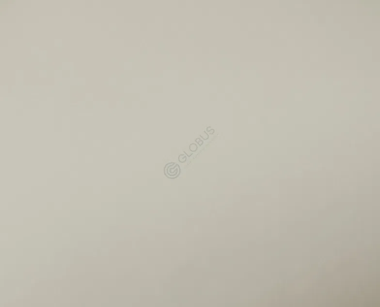 Обеденный стул LOUIS VUITTON Petal