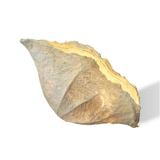 Настольная лампа Ovalia