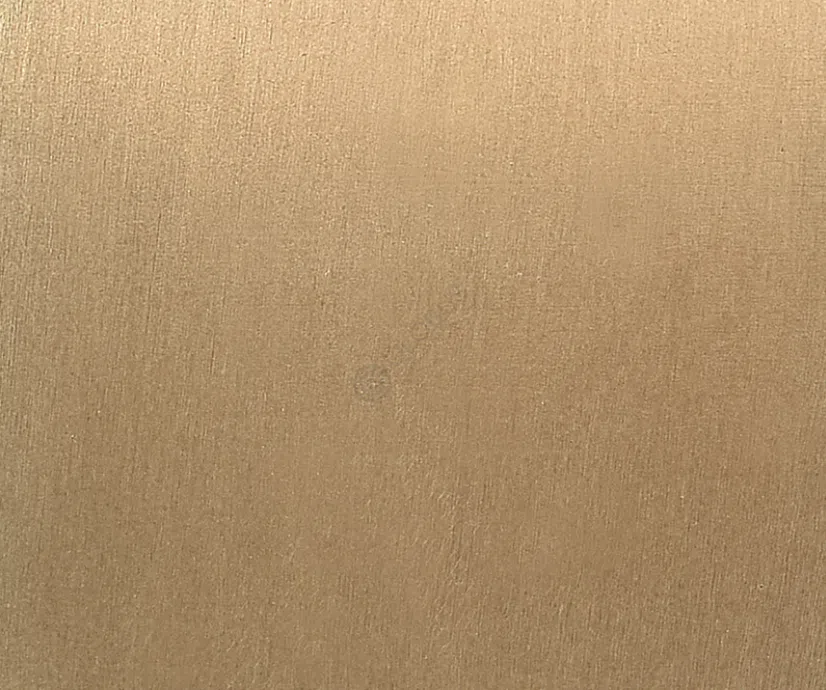 Кресло VISIONNAIRE Sontag