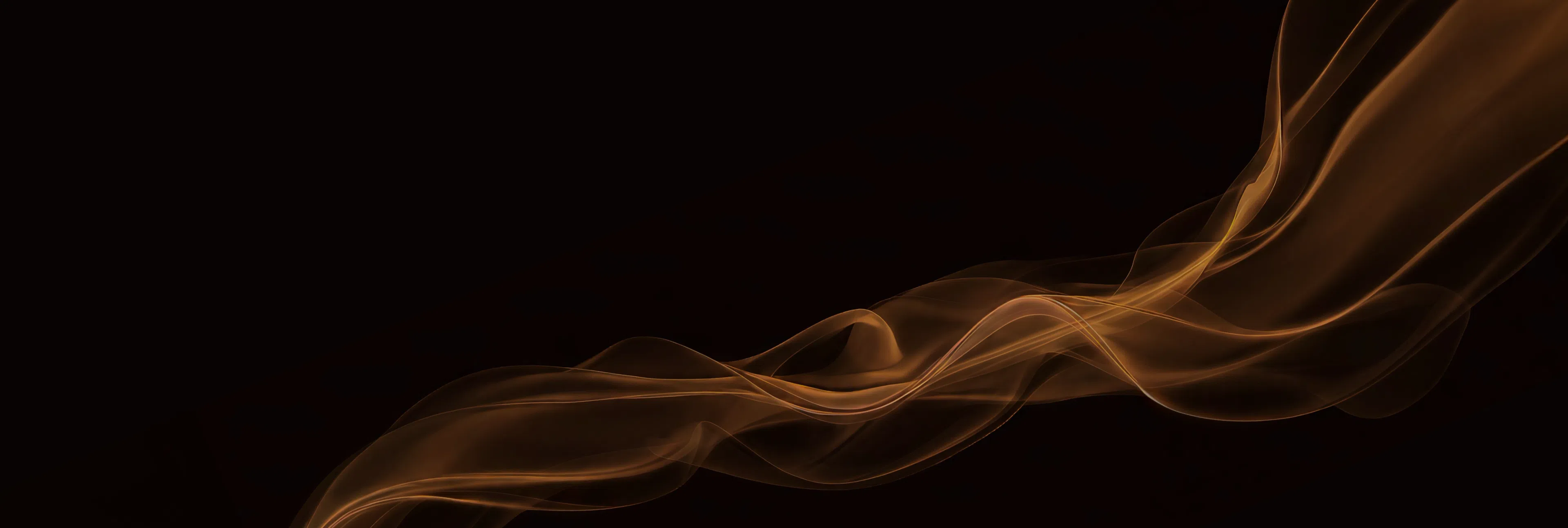 Desktop Brand Detail Banner