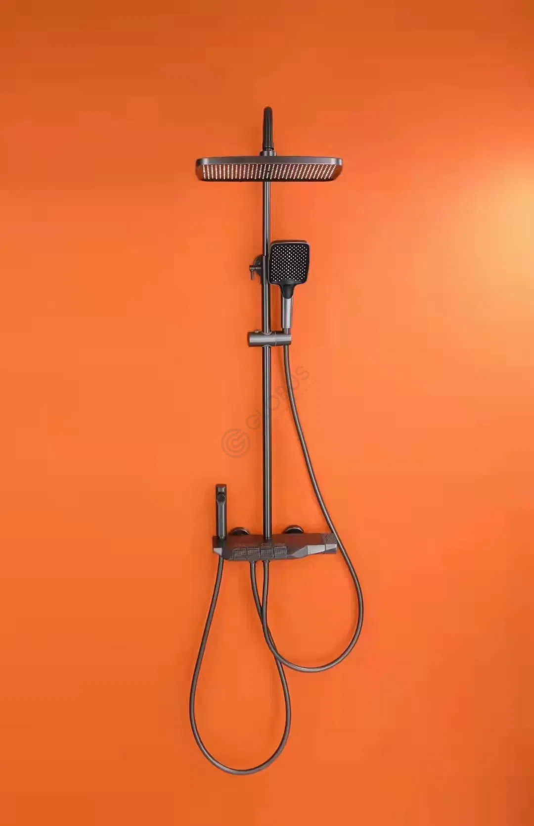 Смеситель для душа Briscila